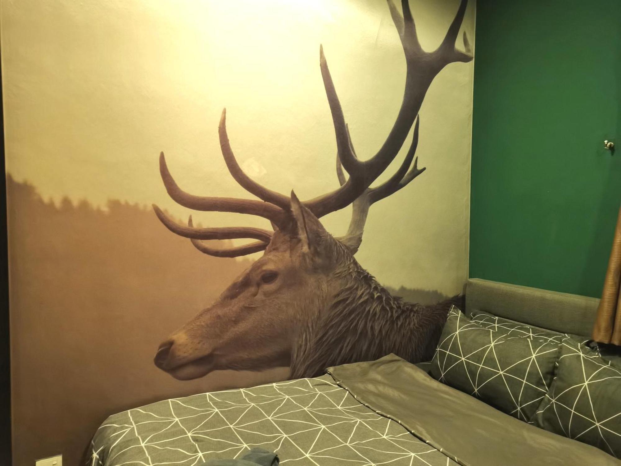 Cozy Forest Themed Homestay 4 Bedroom Κουάλα Λουμπούρ Εξωτερικό φωτογραφία